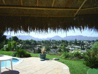 Two Pole Palm Palapa